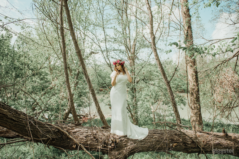 MOHANA OVERLOOK  Photo 3