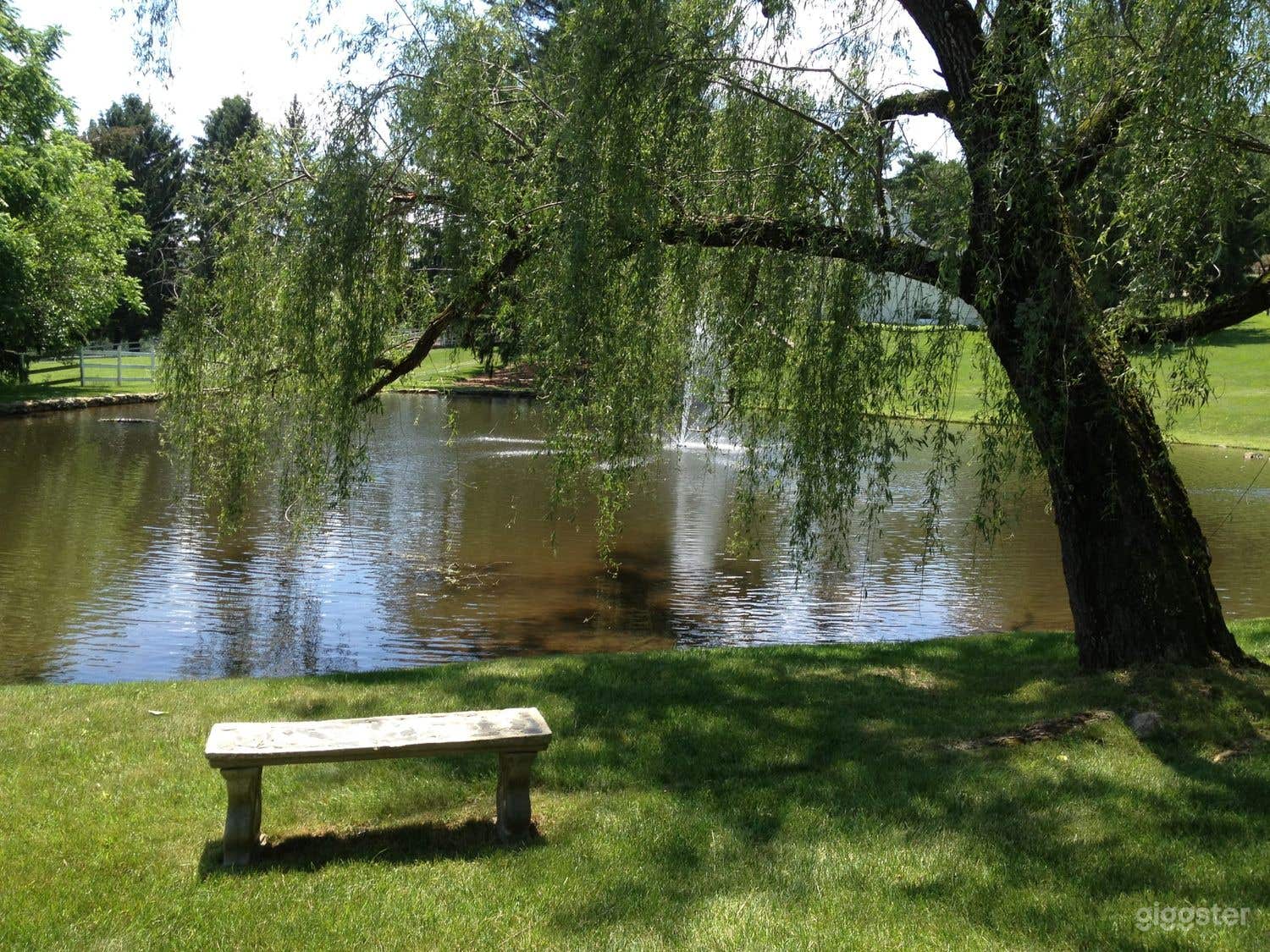 Stunning horse farm with pond and18th century barn! Photo 3
