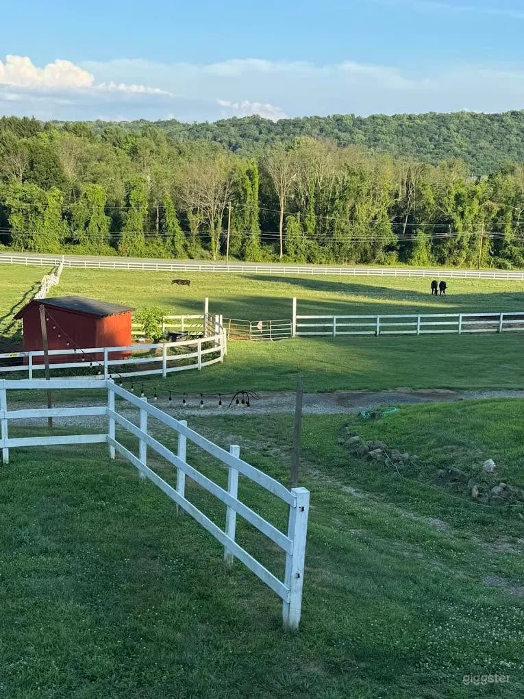 Stunning horse farm with pond and18th century barn! Photo 2