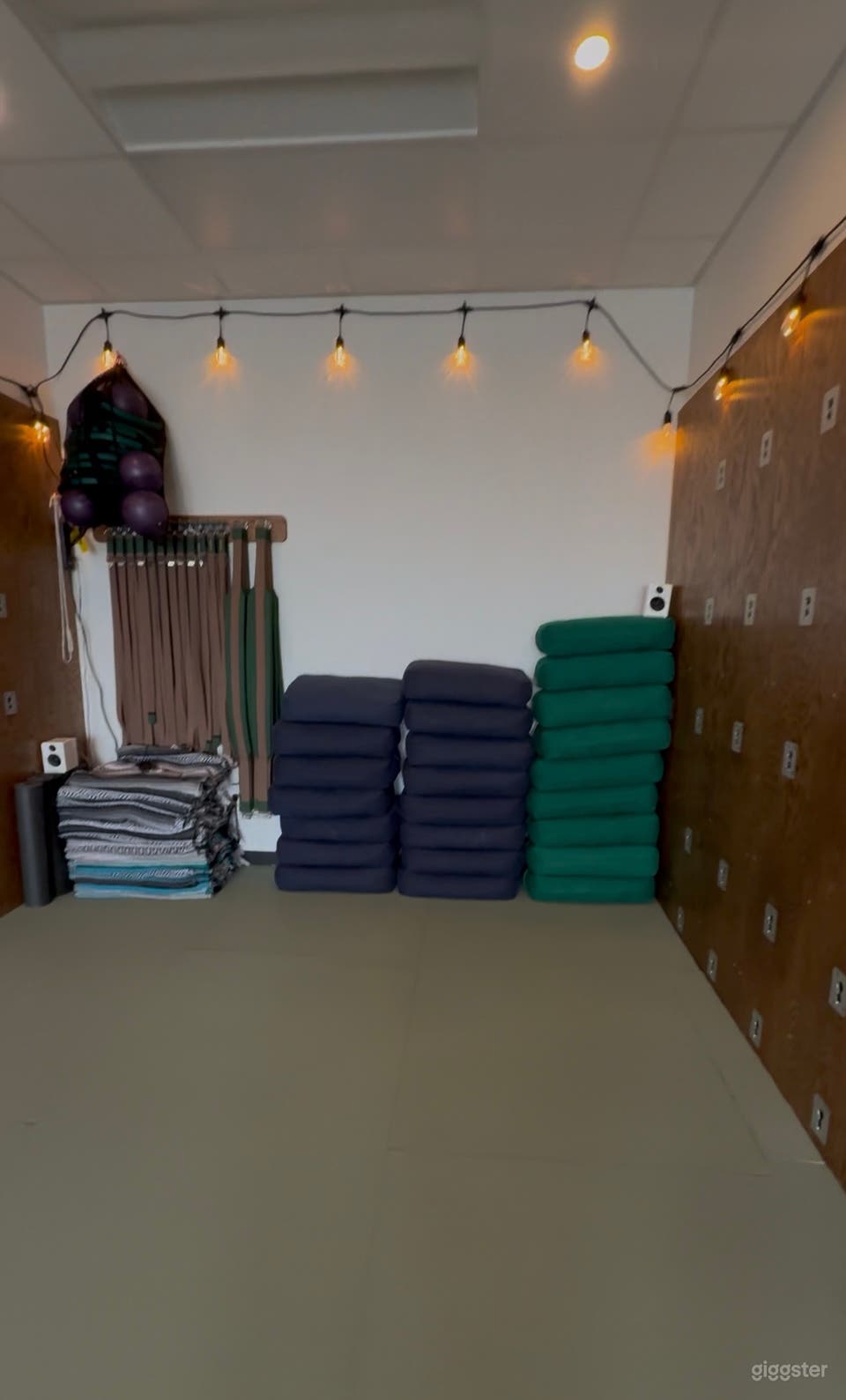 Yoga Studio with a tree top view Photo 3