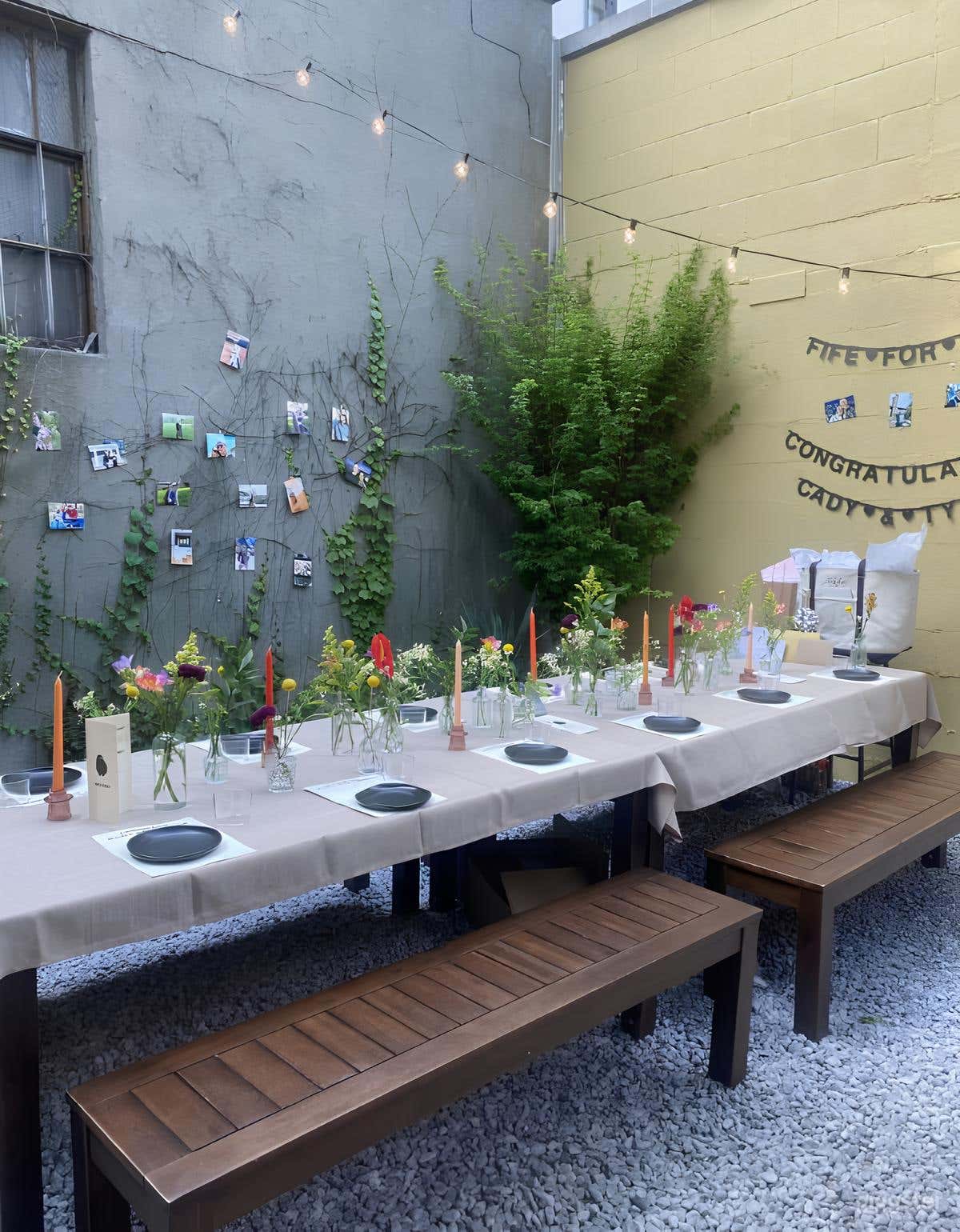 Back Garden Patio Photo 4