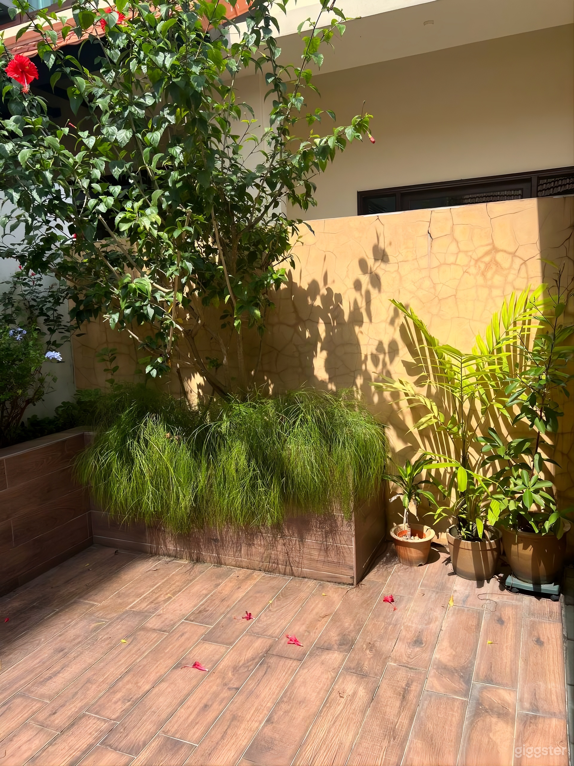 Outdoor Patio and Garden Space Photo 4