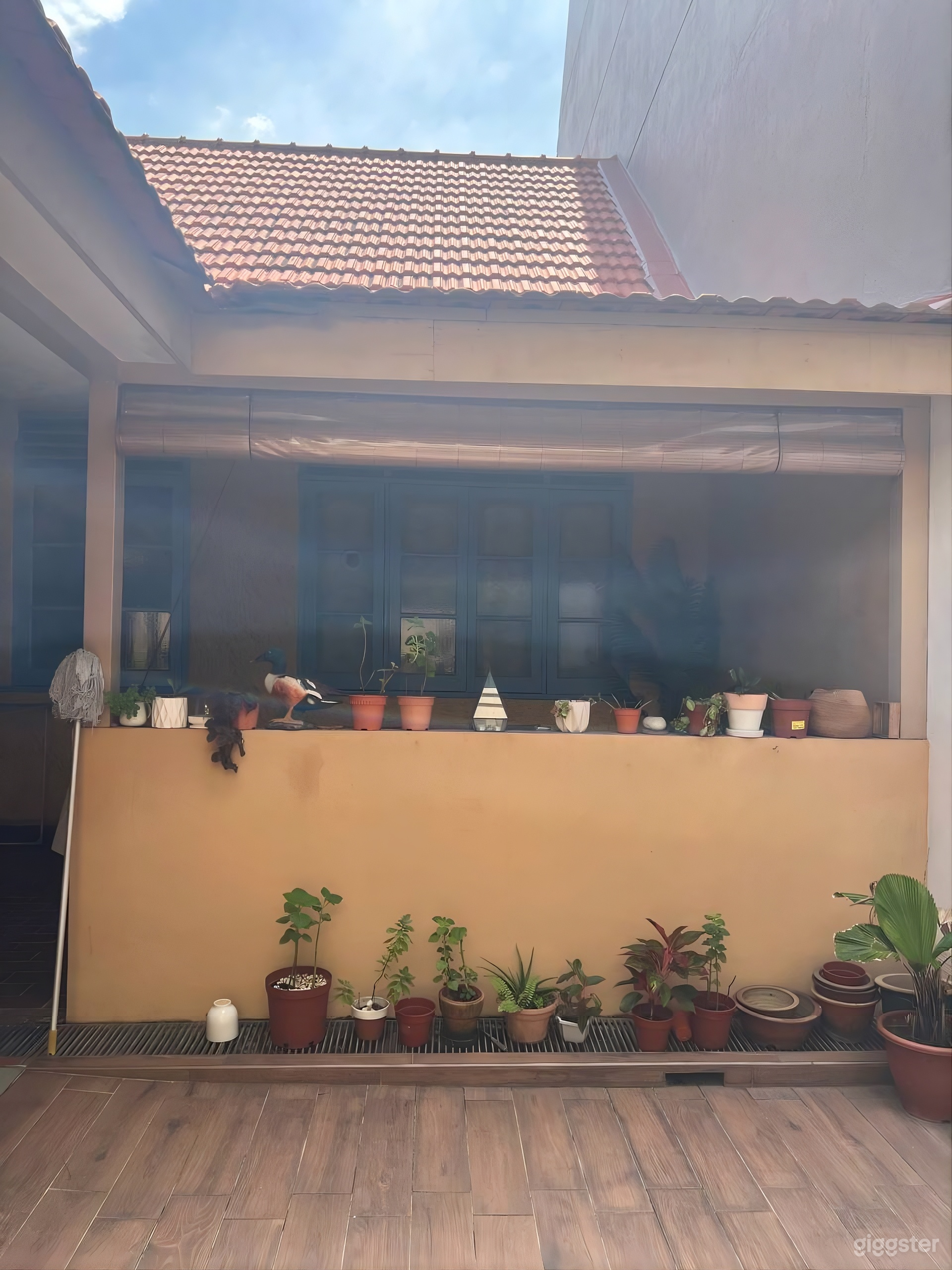 Outdoor Patio and Garden Space Photo 3