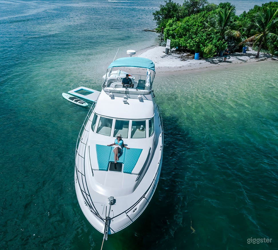 45’ SEA RAY Flybridge “High Fives” Yacht Photo 2