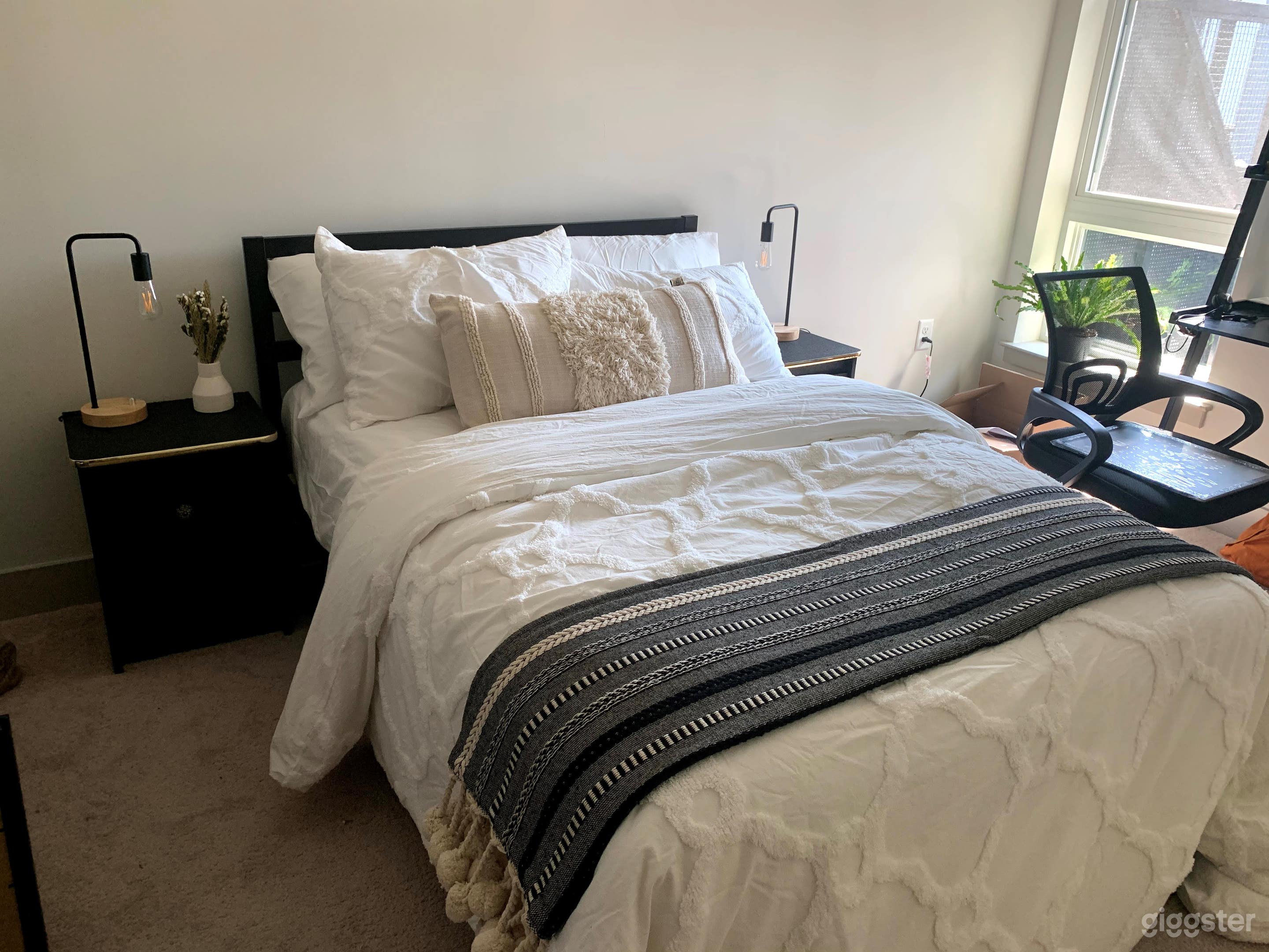 Chic, Sleek and Modern Apartment in Rockville Photo 2