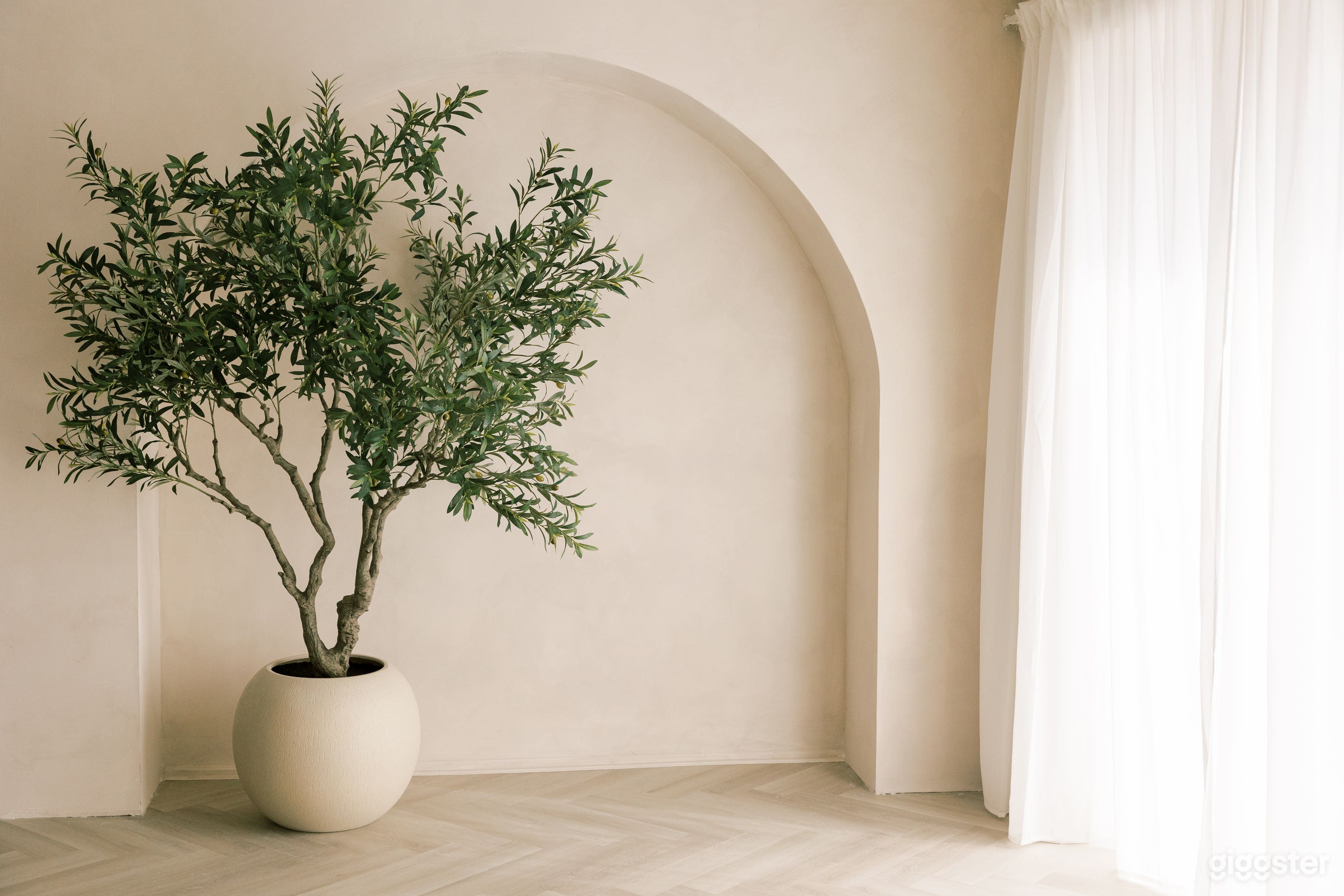 COZY NATURAL LIGHT STUIDO WITH LIMEWASH WALLS Photo 4