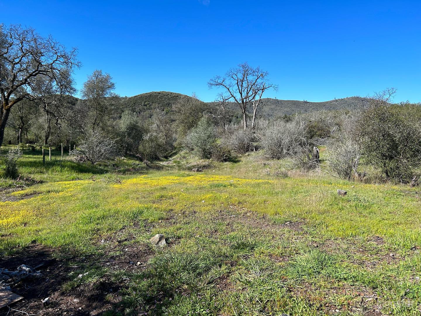 Point Skyfall Photo 2