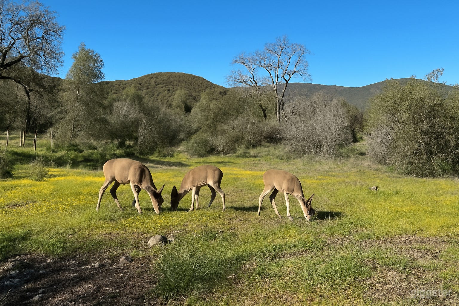 Point Skyfall Photo 4