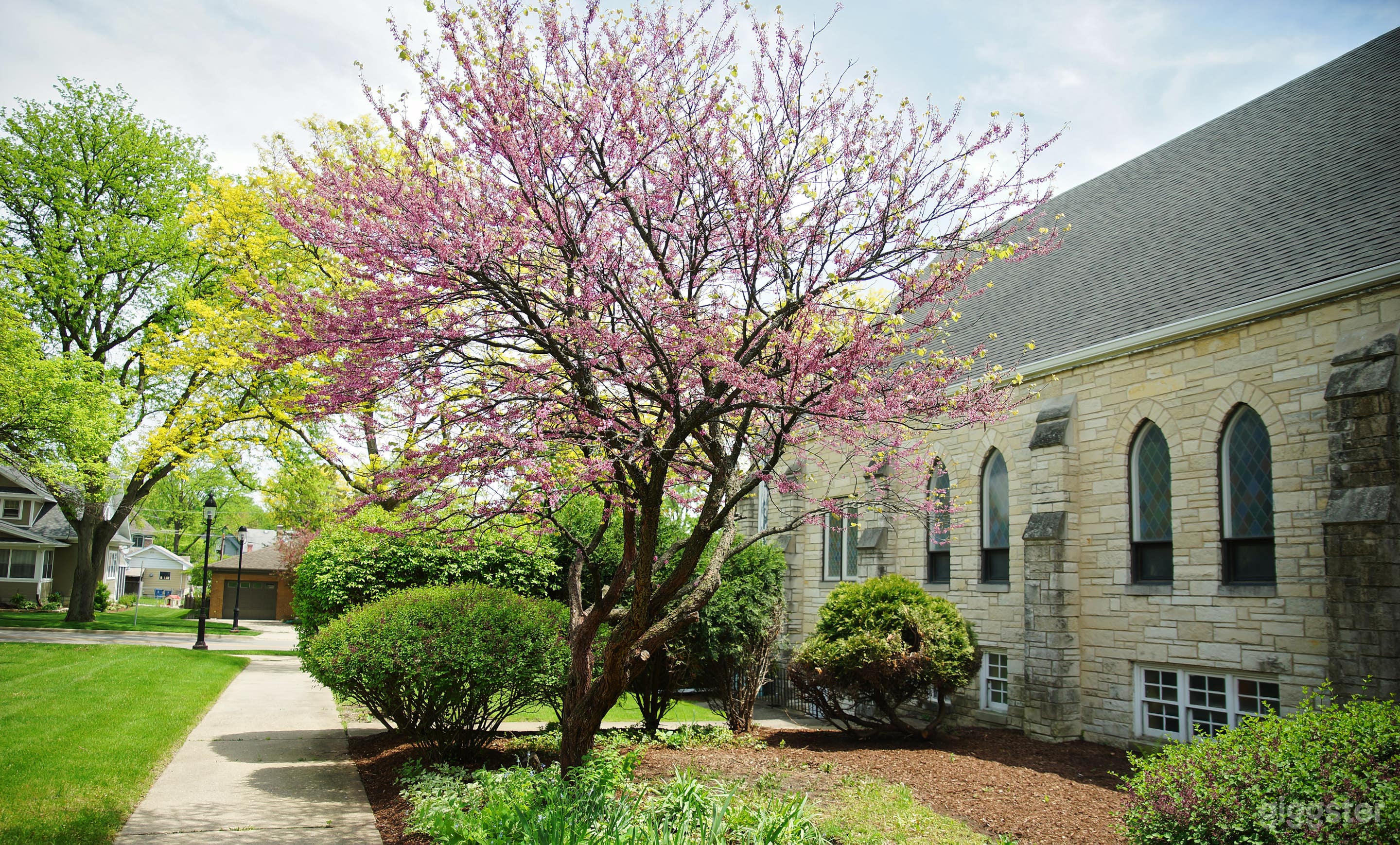 Is it time for a garden party?