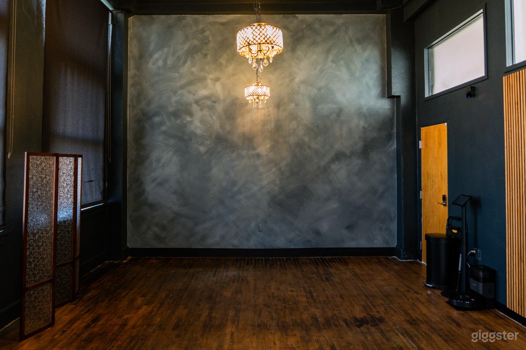 Dark and Moody Natural Light Studio Photo 2