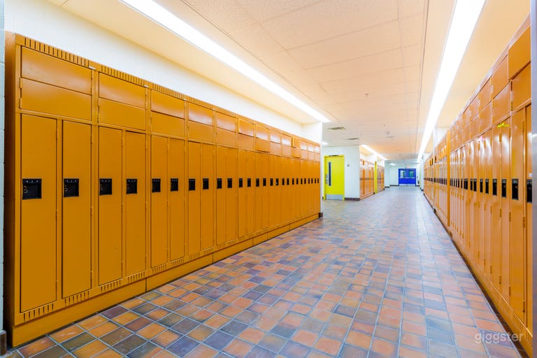  Modern & Vibrant Academic School in Toronto 