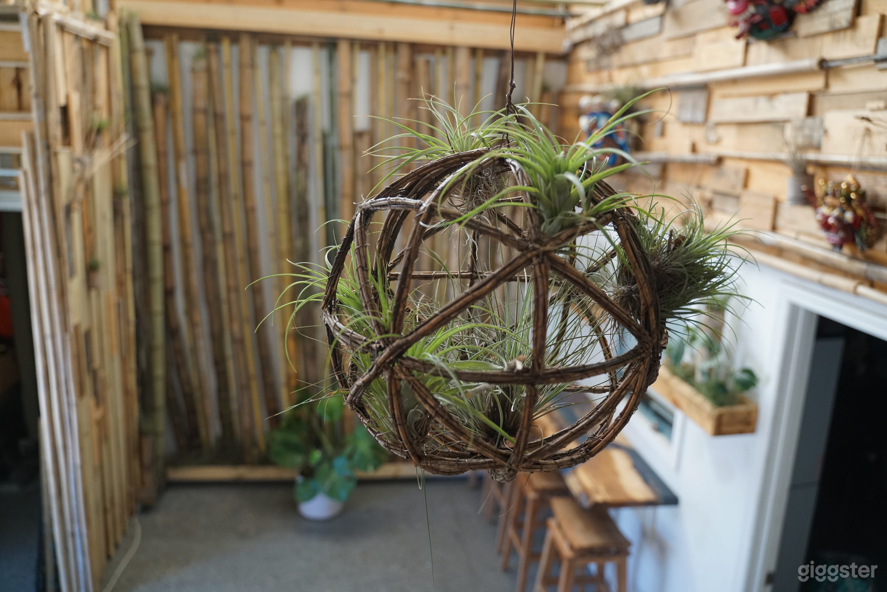 Superbly designed amazing warehouse, climate controlled! Photo 4