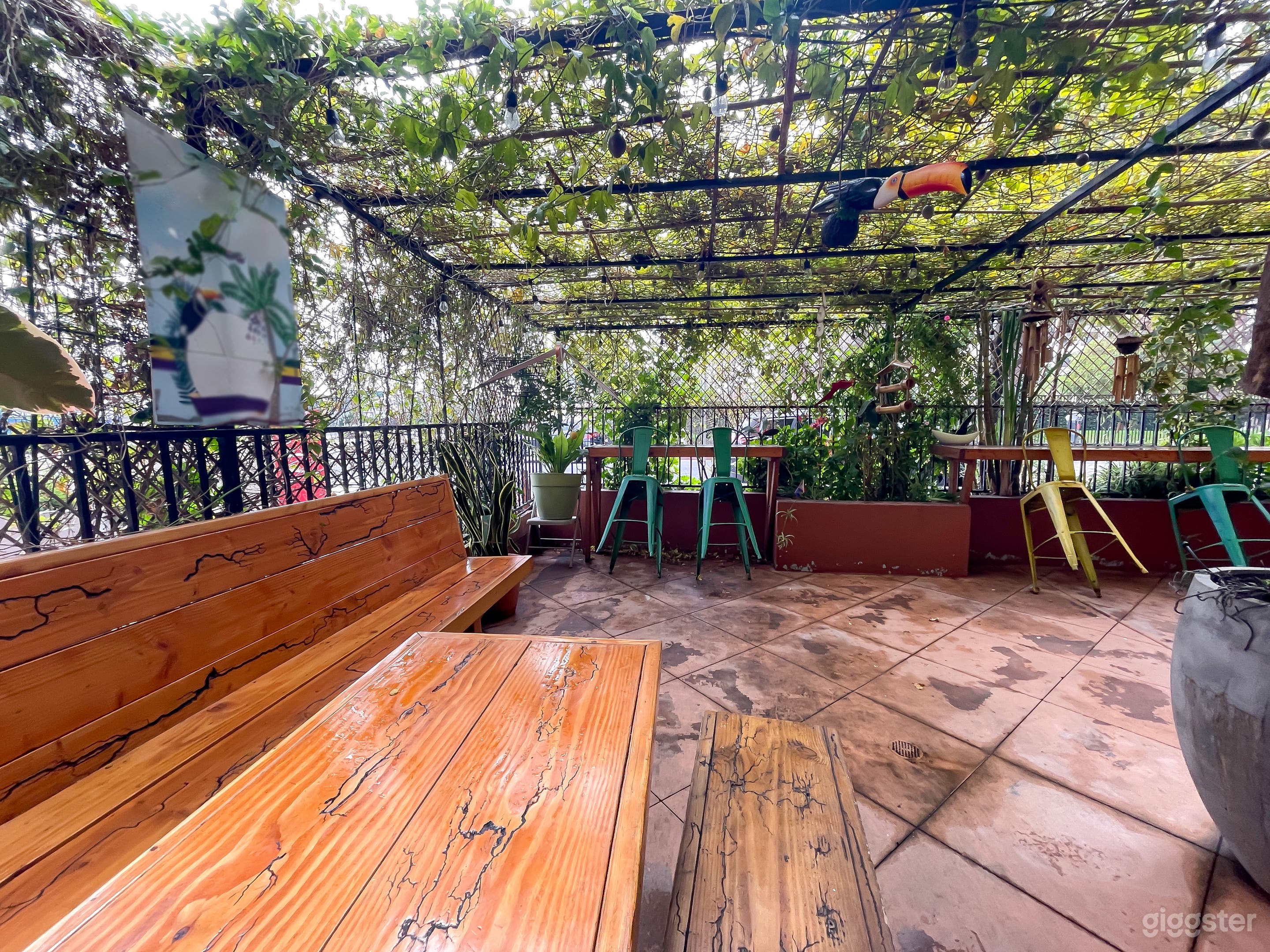 Spacious Tropical Cafe Photo 4