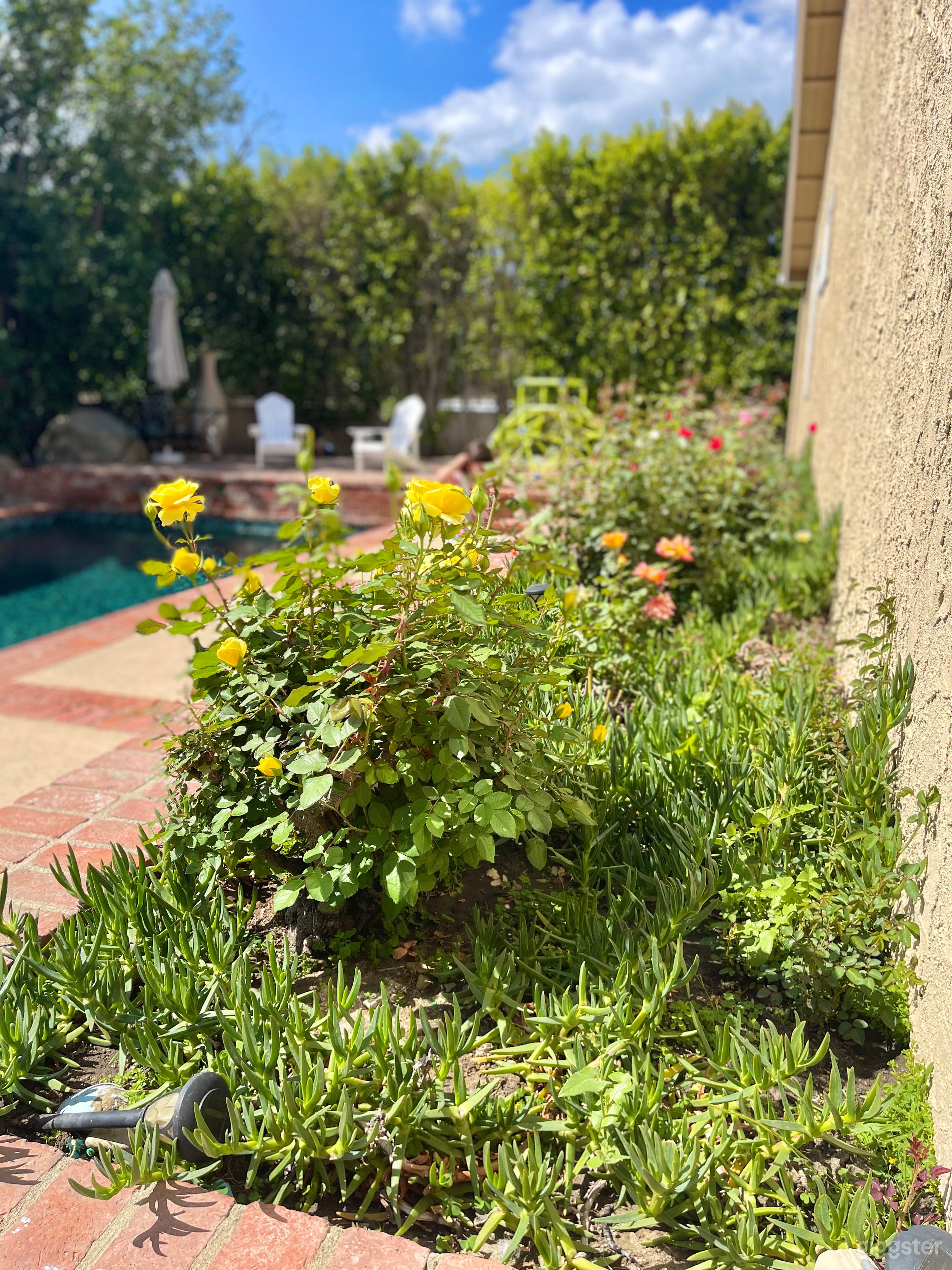 Tennis court resort style home  Photo 4