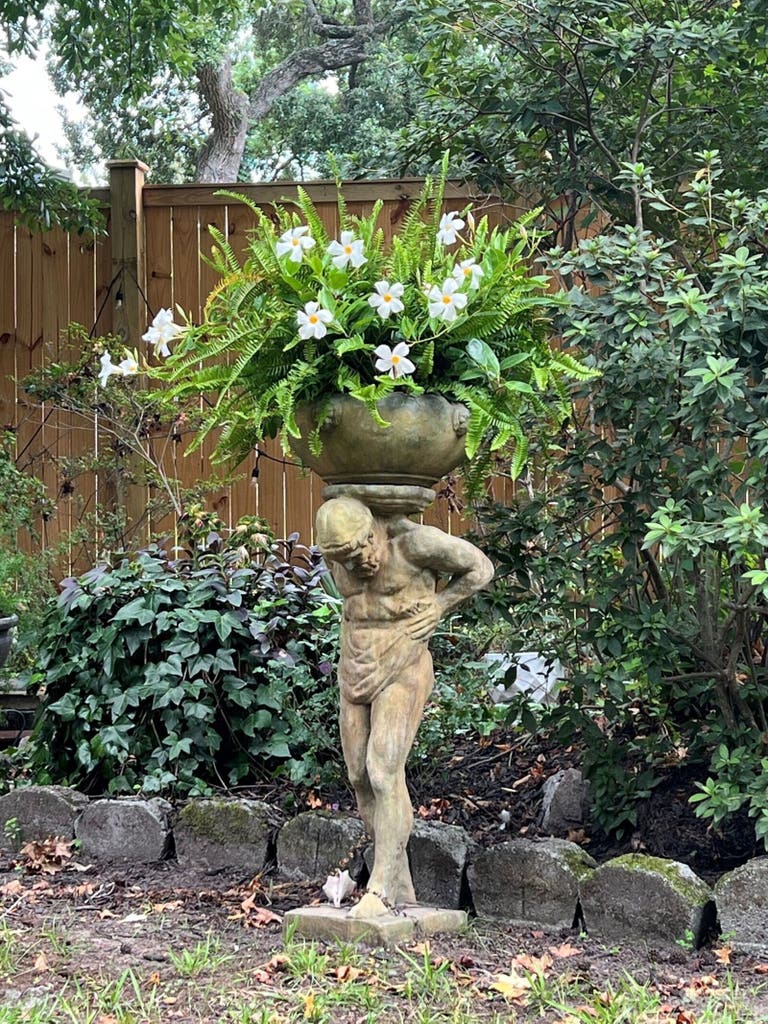  Groom’s Event Backyard 