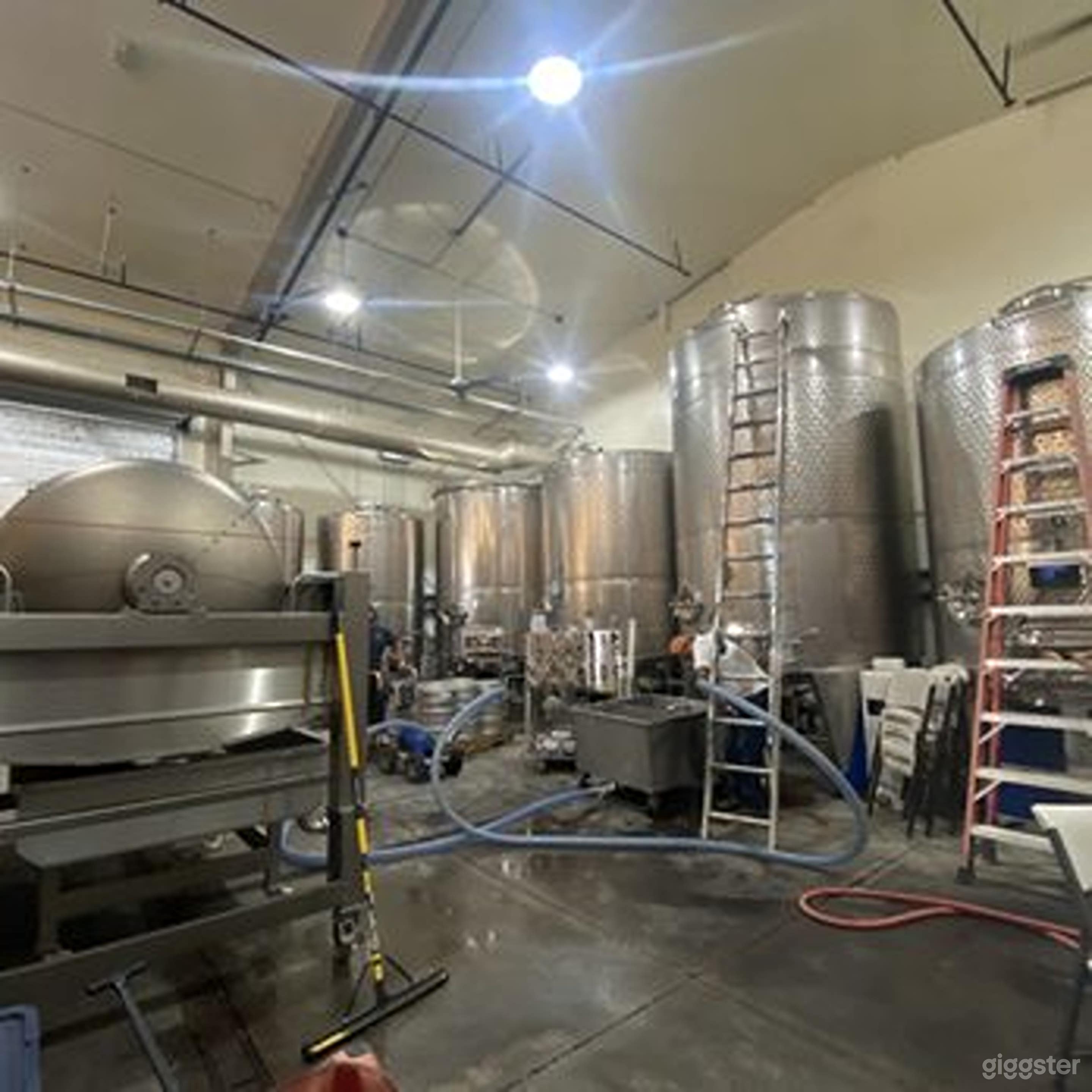 Wine Production and Beer Brewing Area in a 22-Acre Winery &amp; Vineyard Photo 4