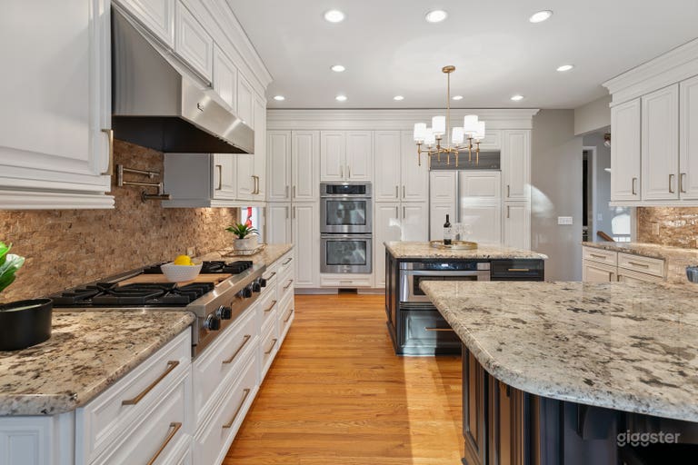  Backyard Oasis & Luxury Living in the Suburbs 