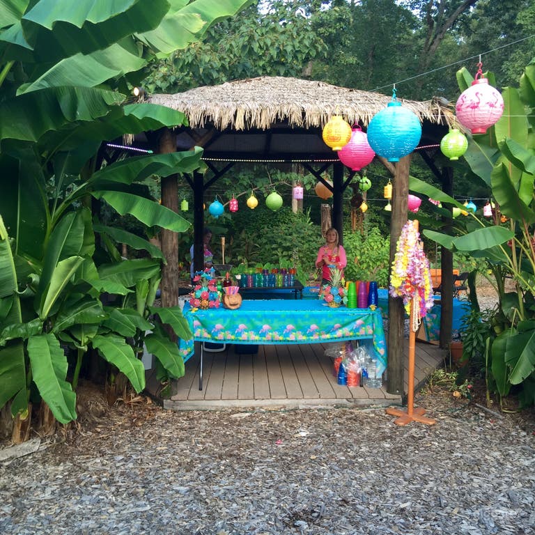  Tiki hut back in the tropical gardens. 