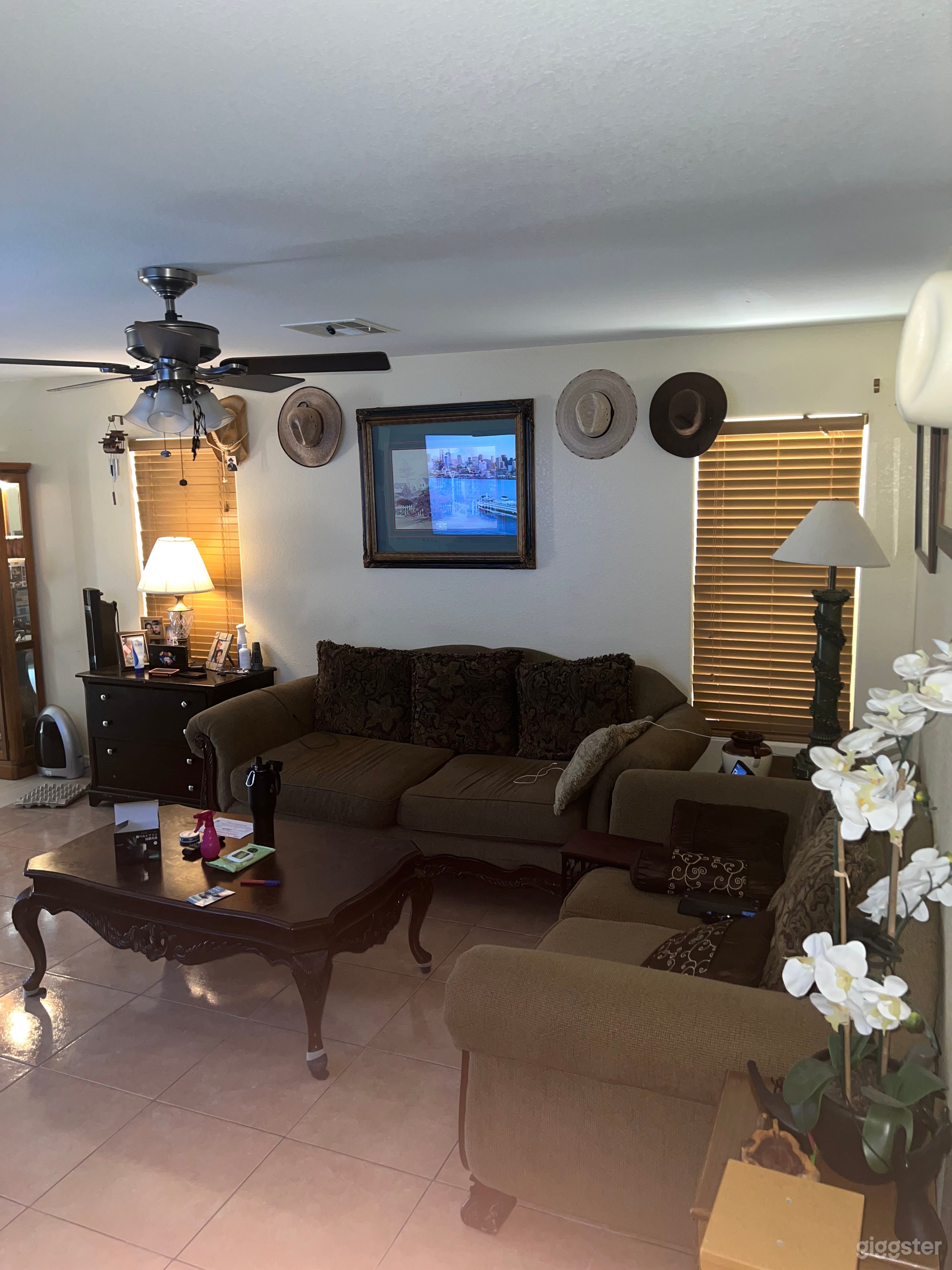 Las Vegas Home 8-miles from downtown Photo 3