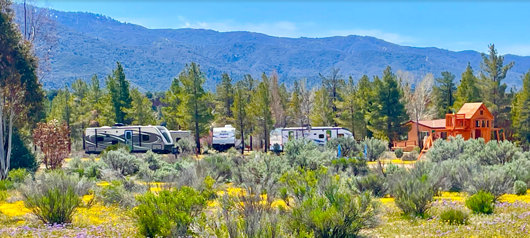  Perfect 45-Acre Versatile Venue (Full Buy Out) 