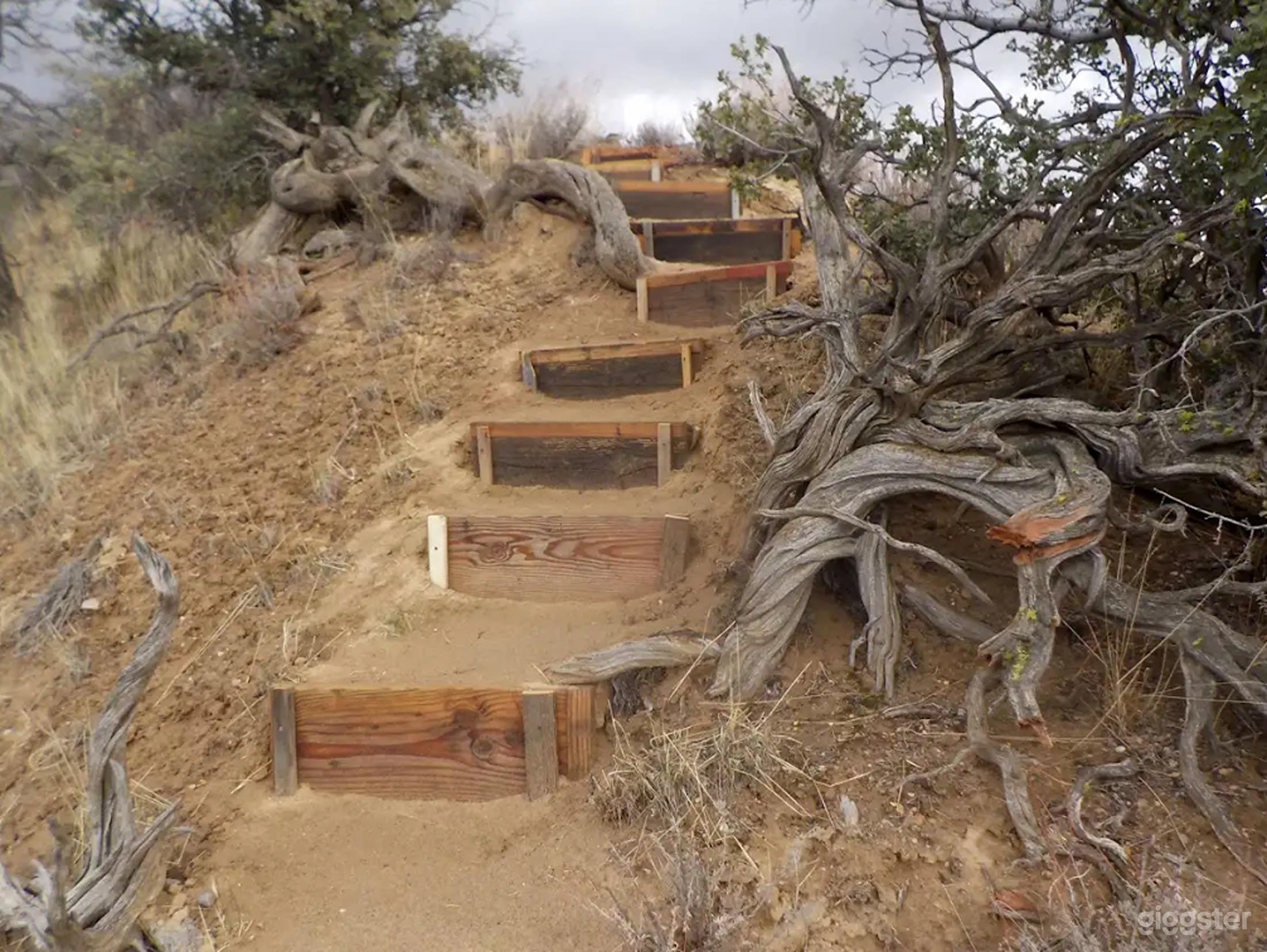 Perfect 45-Acre Versatile Venue (Full Buy Out) Photo 4