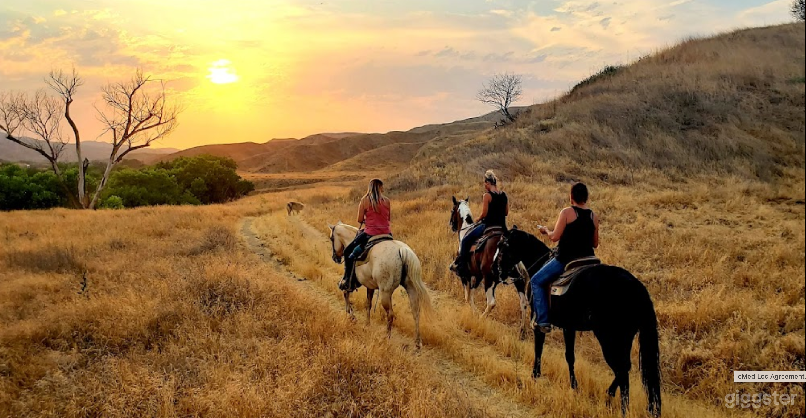 Western Venue, Horse Ranch, dance floor &amp; stage Photo 4