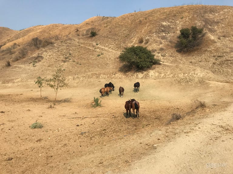  Western Venue, Horse Ranch, dance floor & stage 