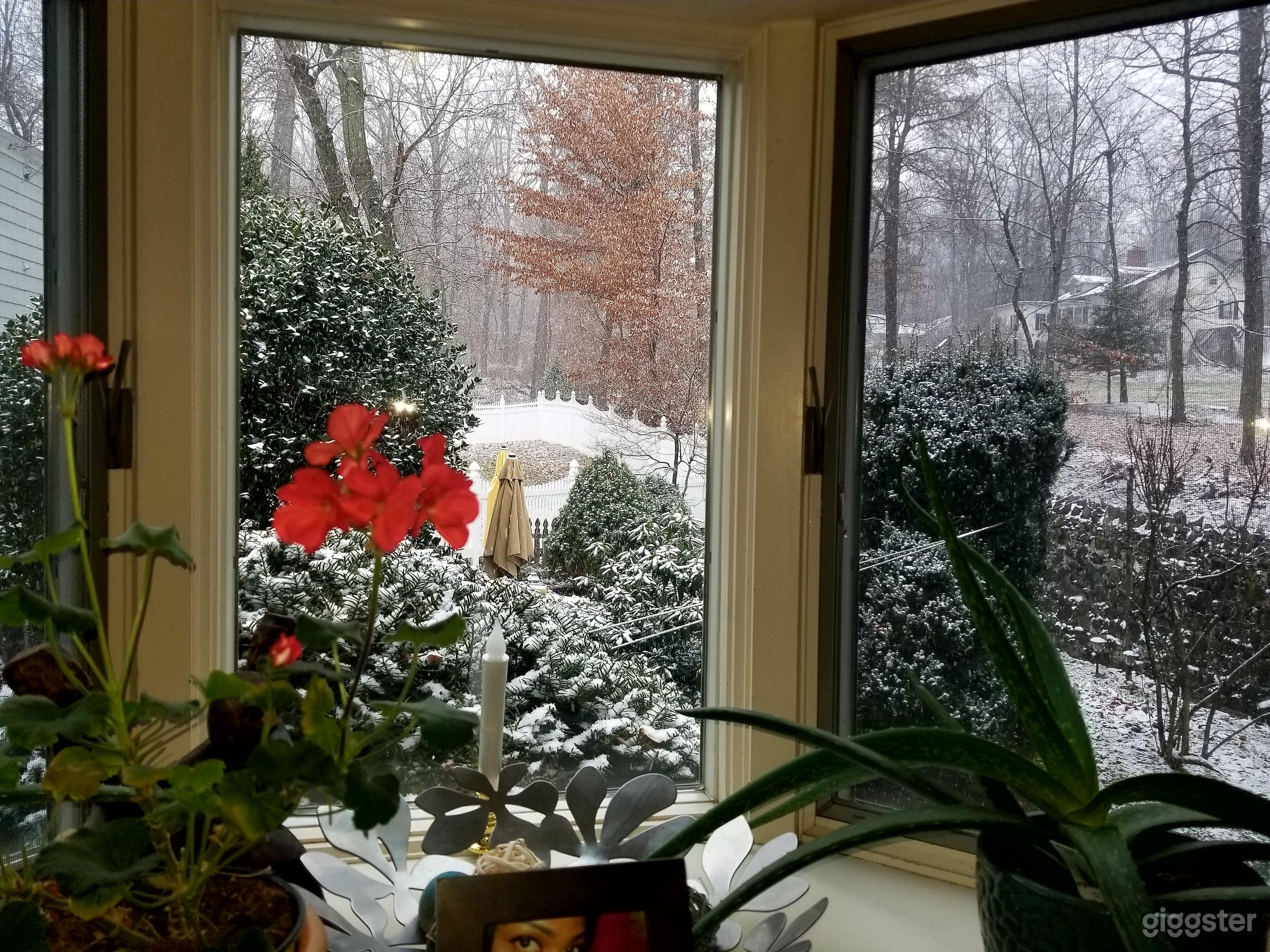 Bay window view in kitchen