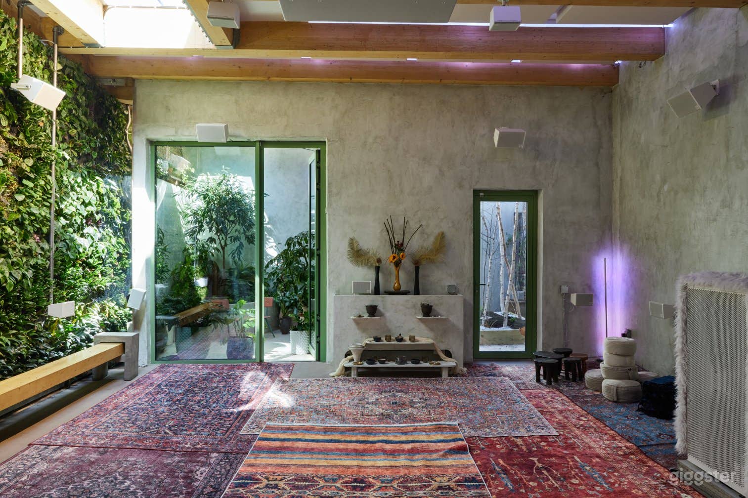 Sustainable and Serene Cafe in Williamsburg Photo 1