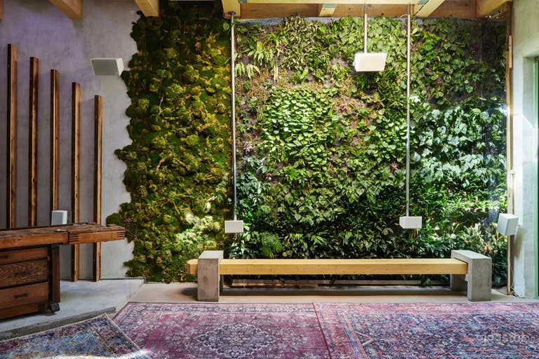  Sustainable and Serene Cafe in Williamsburg 