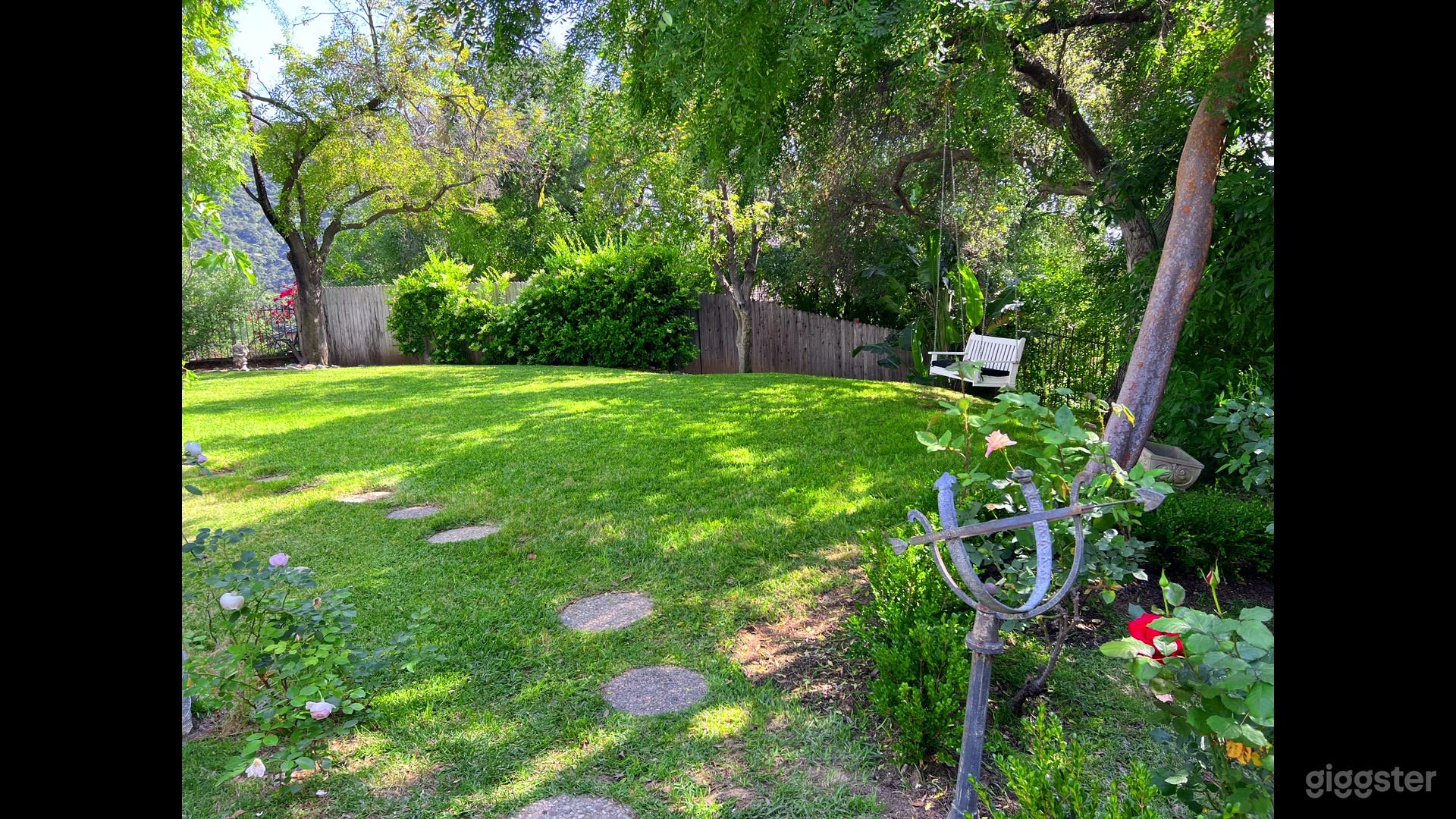Back Yard. Rose garden.