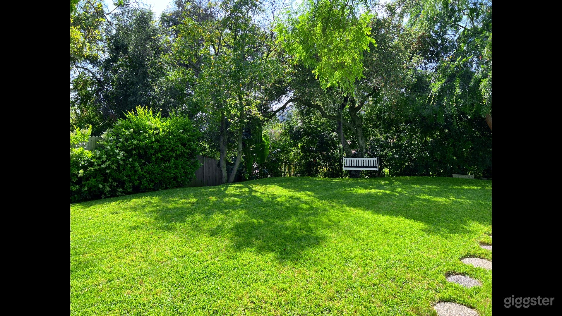 Backyard. Tree Swing with 6-arm chandelier in tree