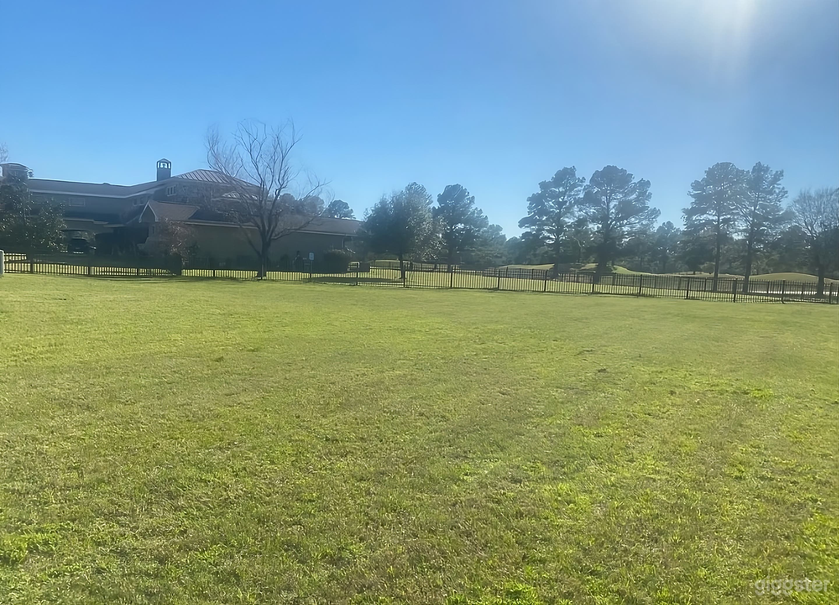 Huge Beautifully Landscaped Backyard Photo 2