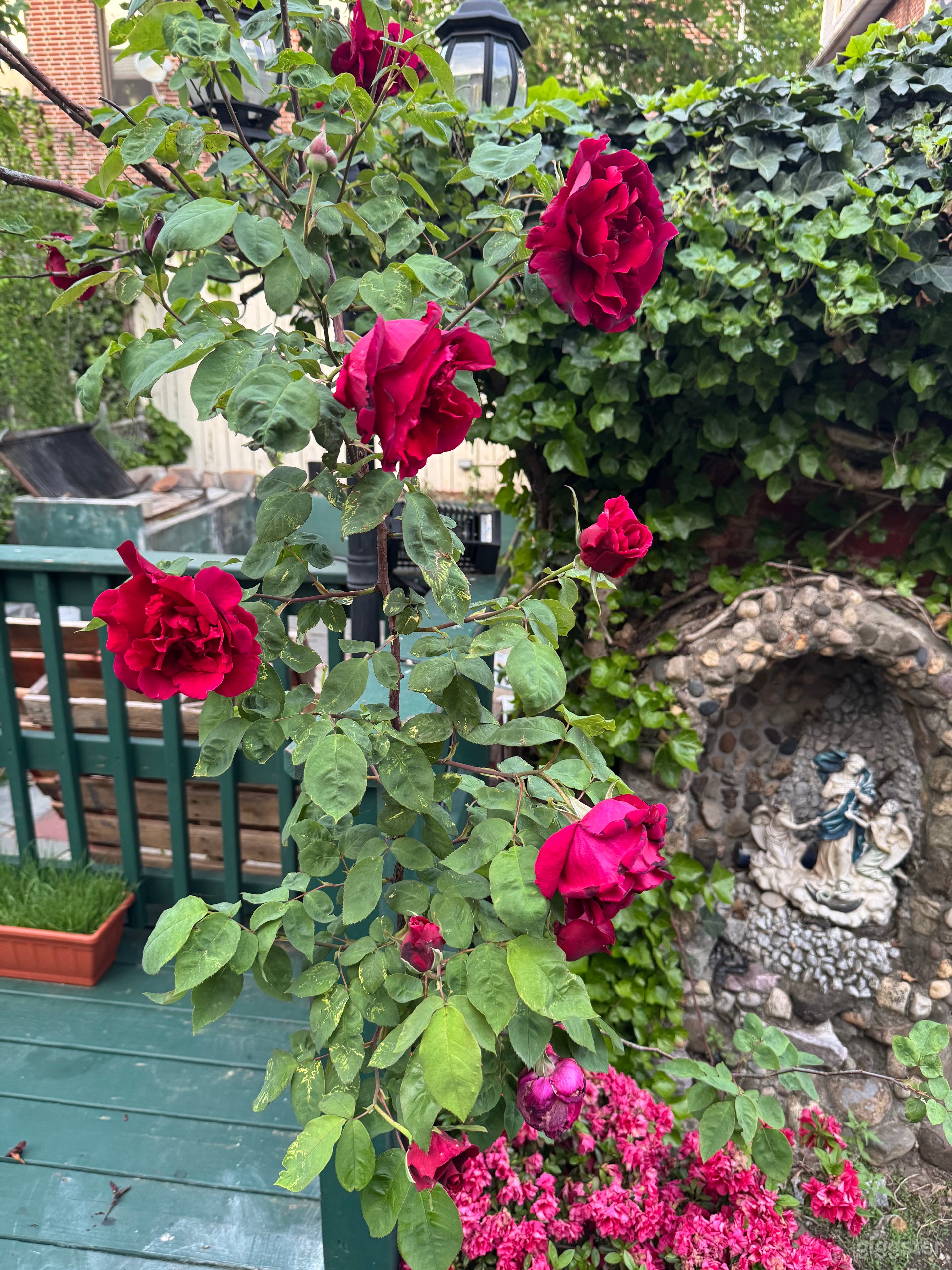 Bright Historic Jackson Heights Queens NYC Home with Sunroom Photo 3