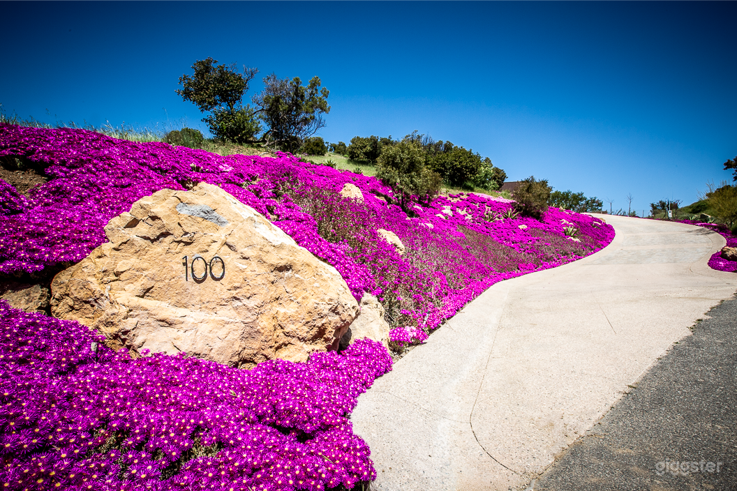 VIEWS! Loft Living @ Lake Sherwood secluded home  Photo 4