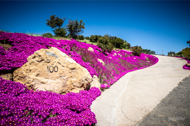  VIEWS! Loft Living @ Lake Sherwood secluded home  