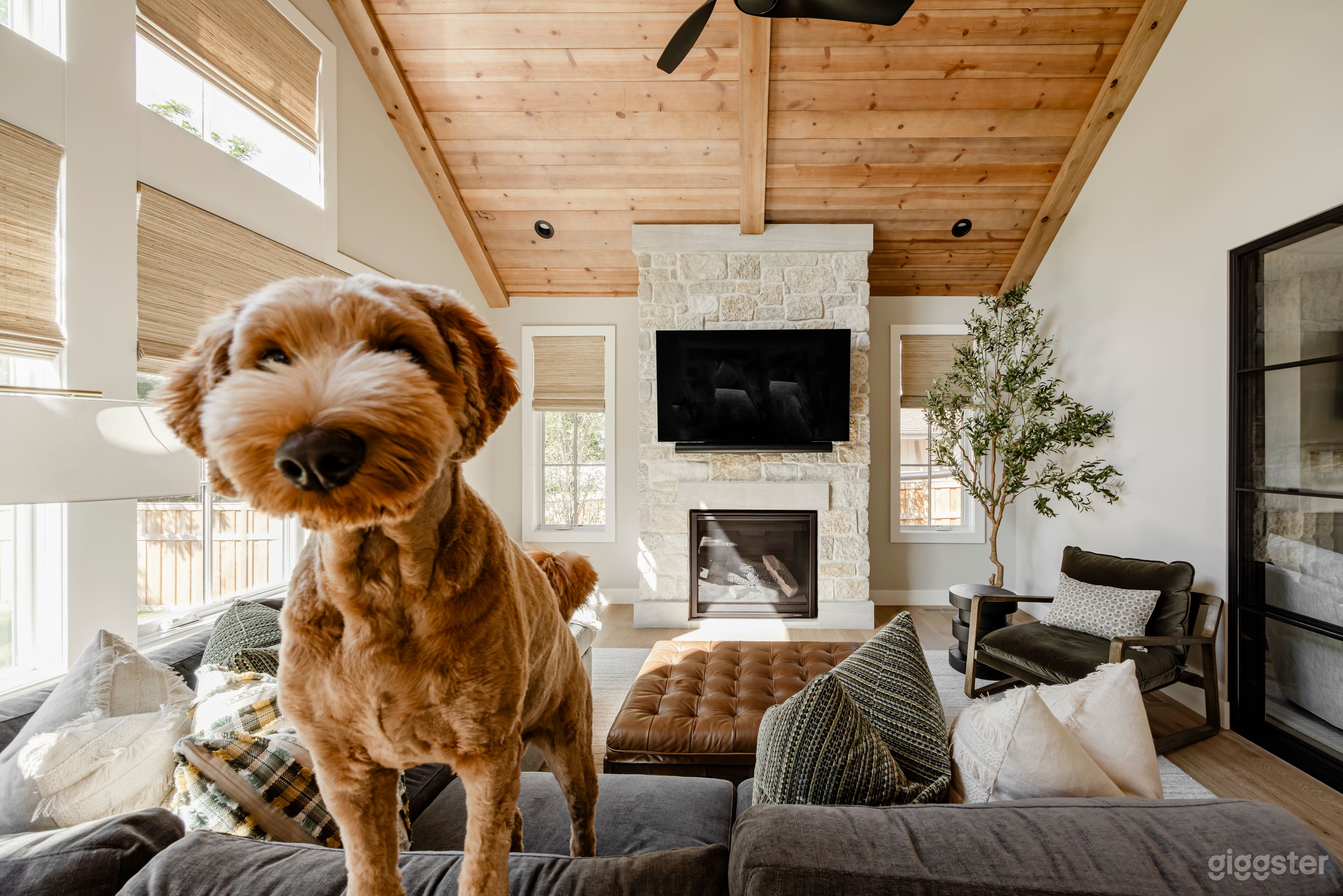 Modern Organic Home with Exposed Beam Vaulted Ceilings Photo 1