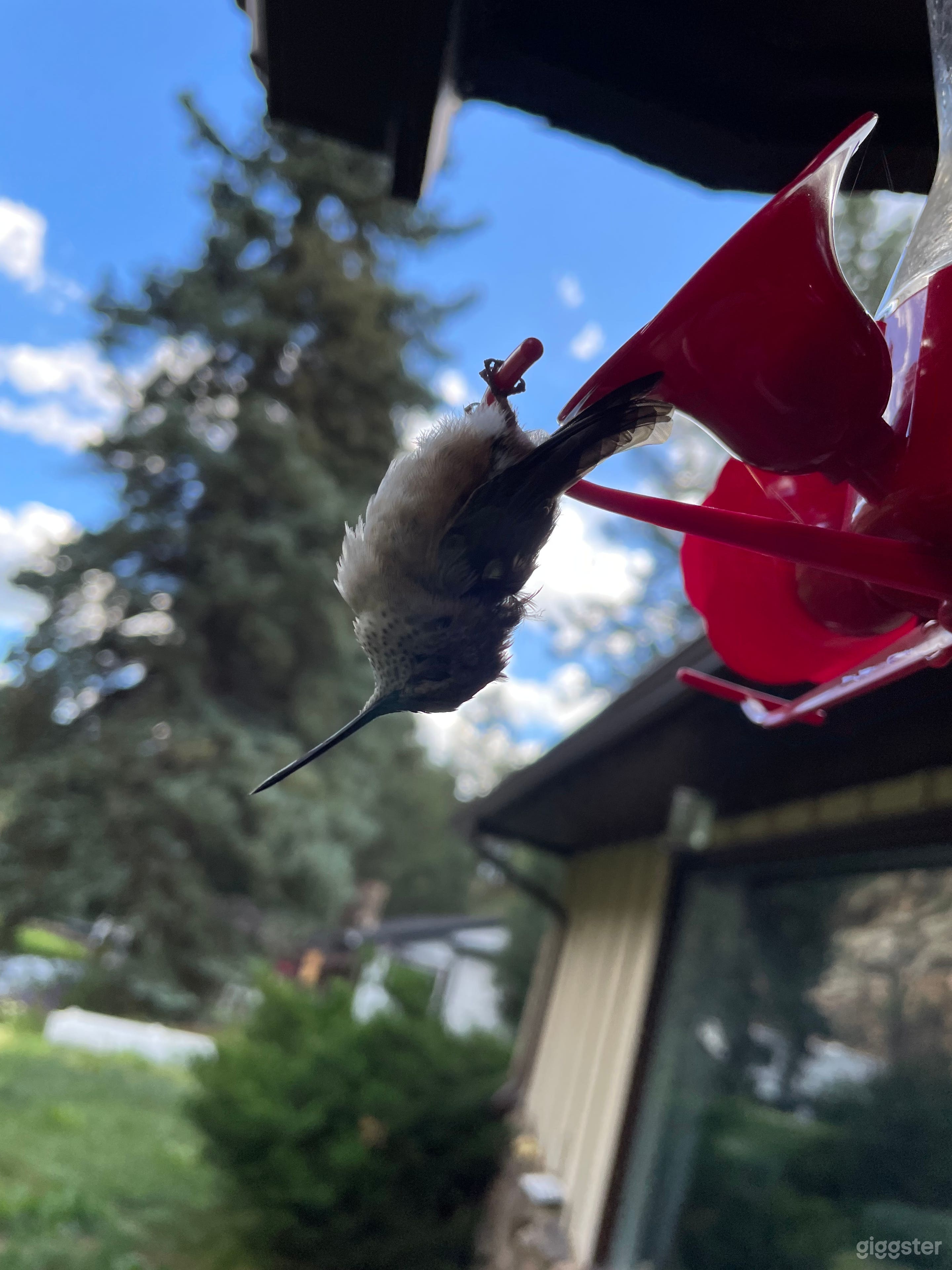 Paradise In A Small  Mountain Town  Photo 4