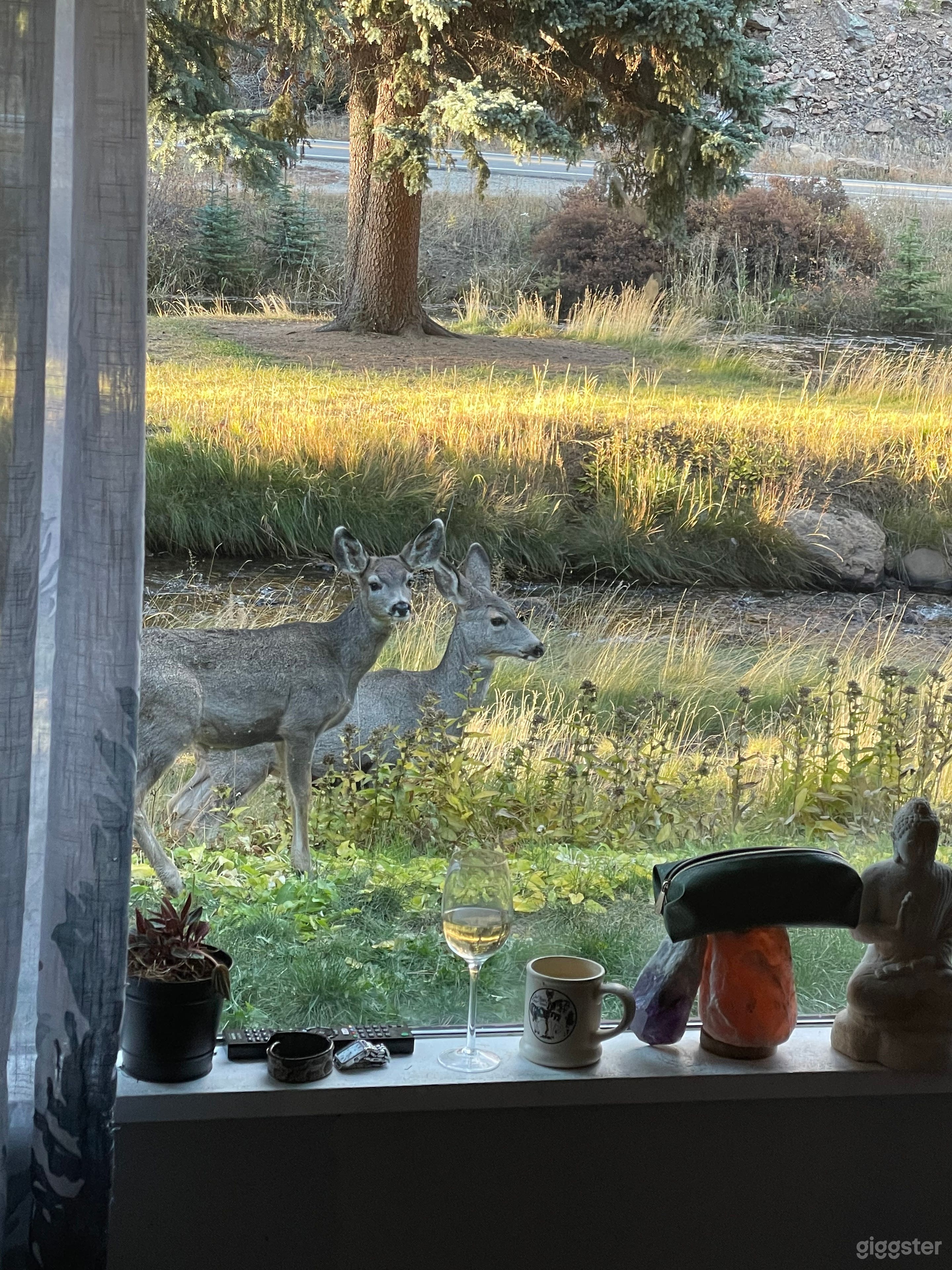 Paradise In A Small  Mountain Town  Photo 3