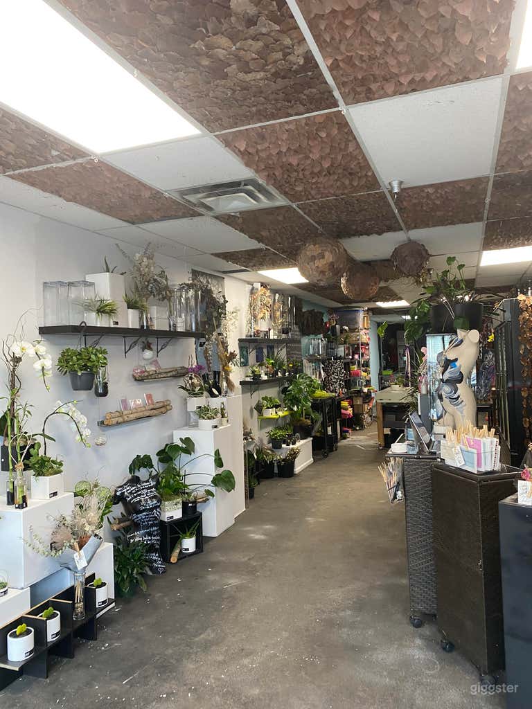  Studio floral vibrant avec espace à l'arrière 