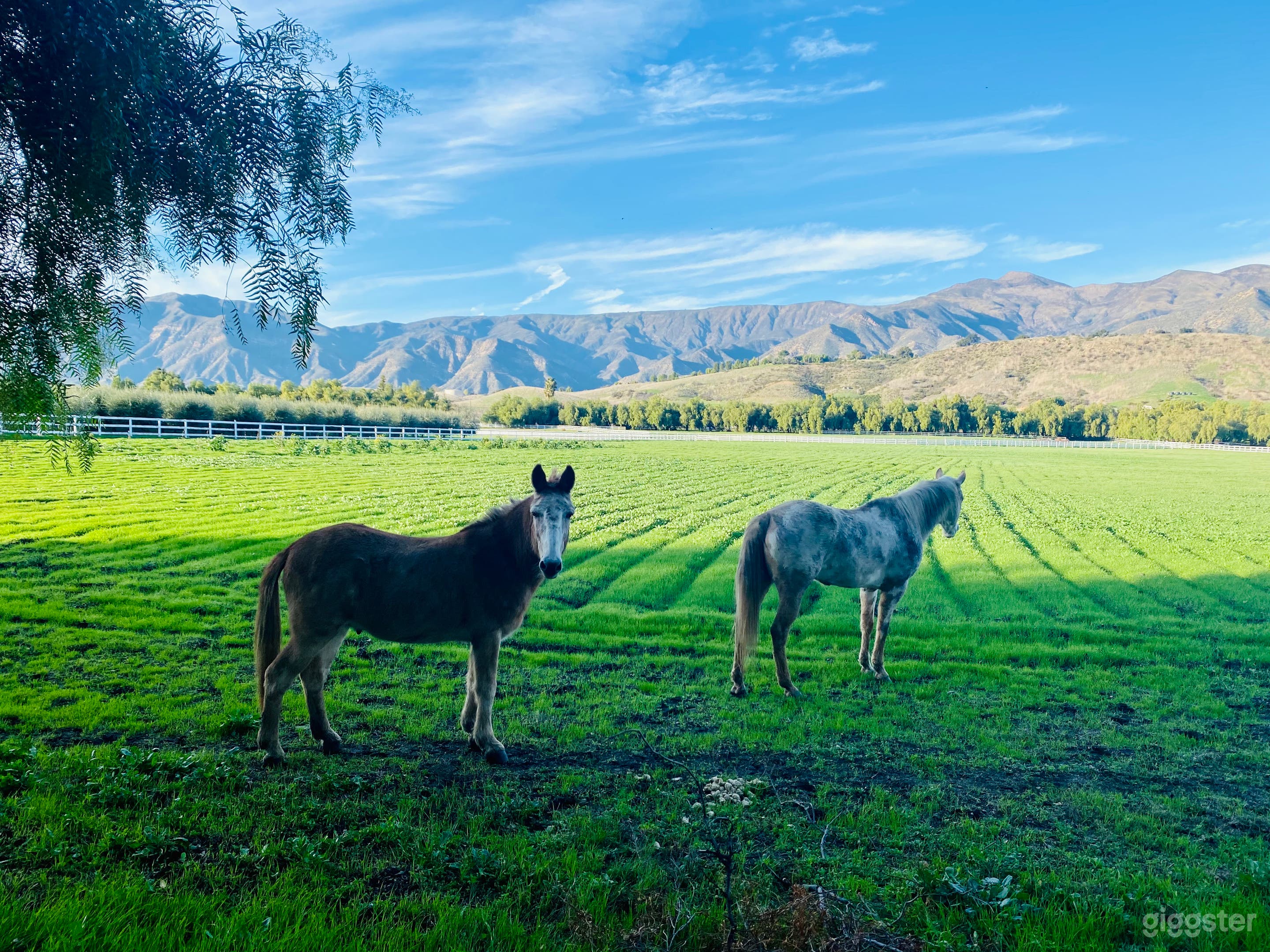 1 of 2 Main Fields (15 Acre) 