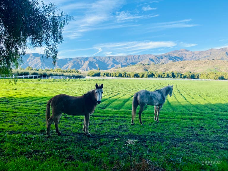  1 of 2 Main Fields (15 Acre)  