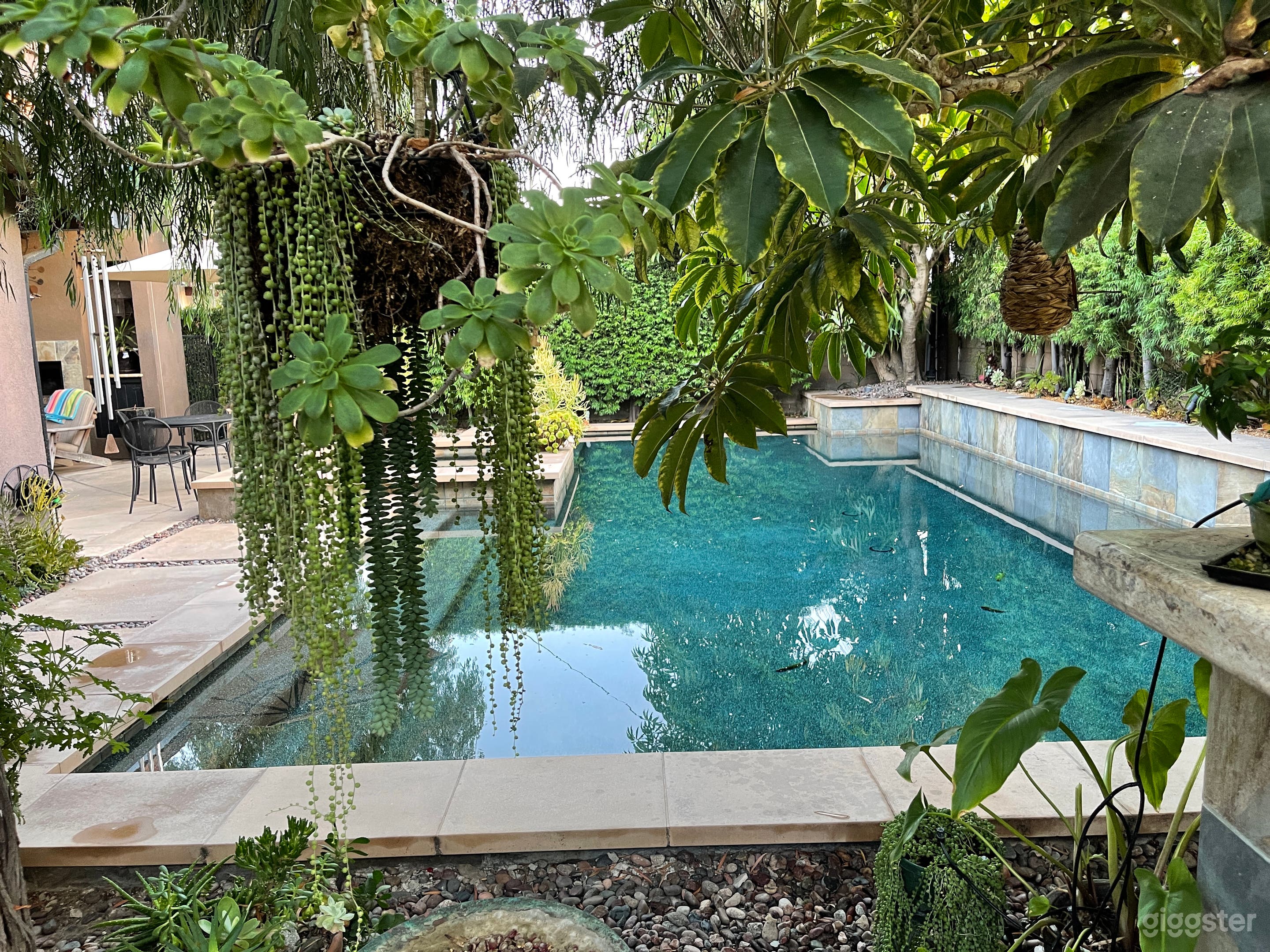 Harvey Home-Great areas for filming!  Photo 2