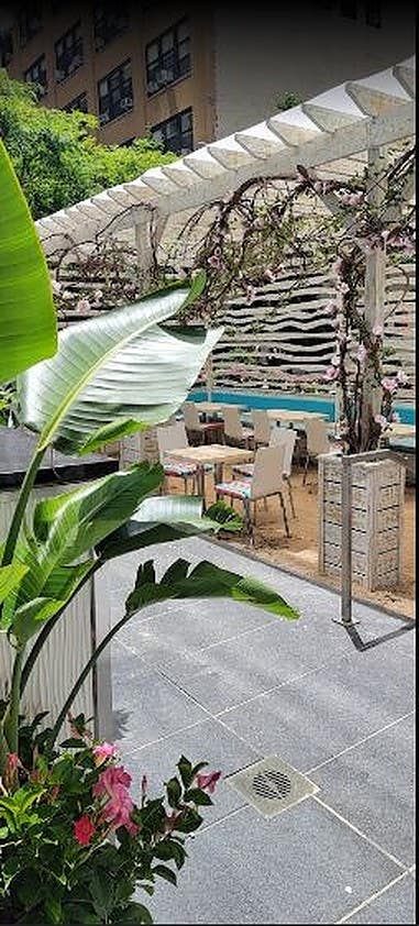 Roof Top | Out Door Dining in Manhattan Photo 3