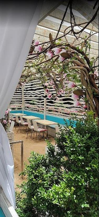 Roof Top | Out Door Dining in Manhattan Photo 4