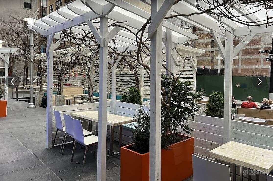 Roof Top | Out Door Dining in Manhattan Photo 1