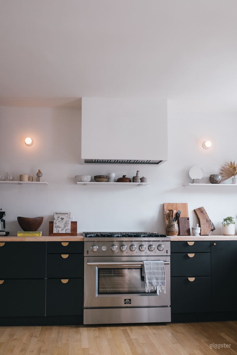  36: stainless steel professional range 