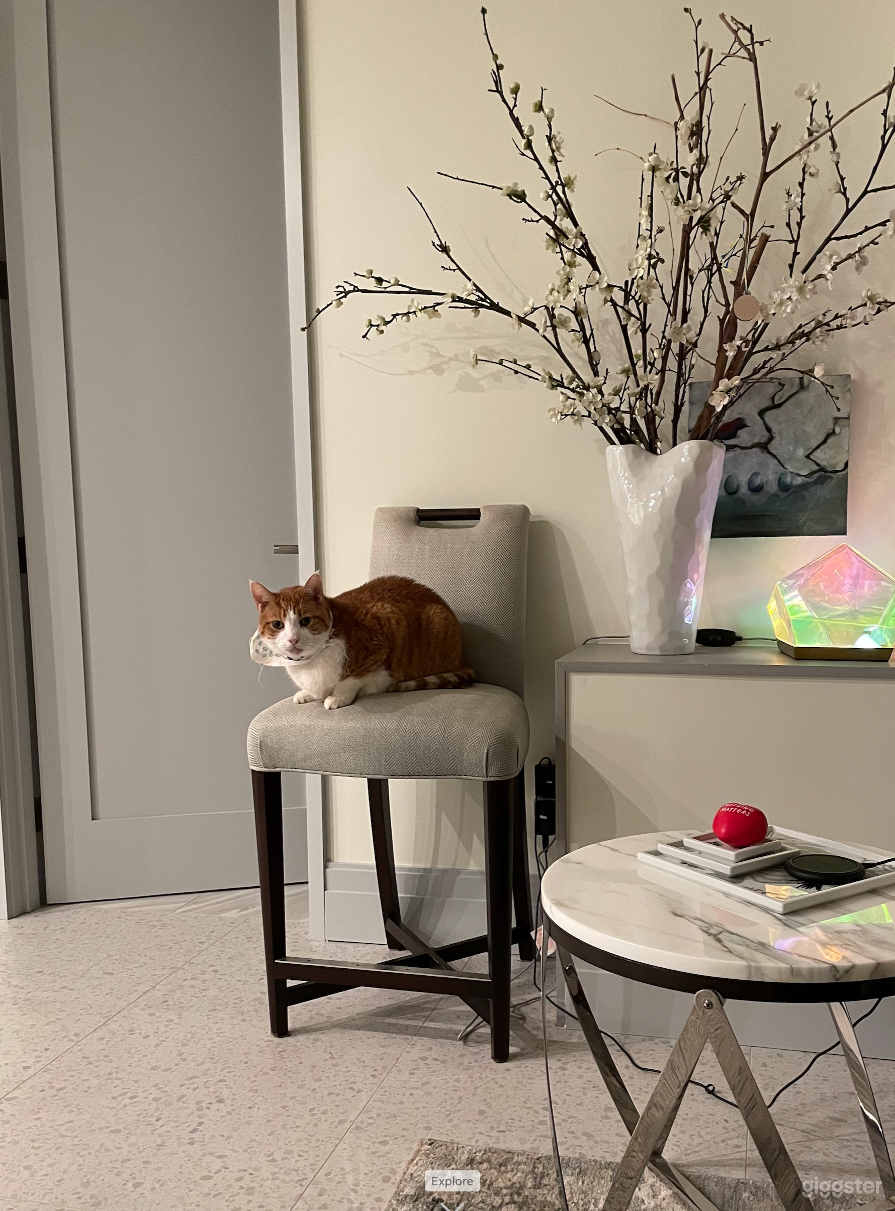 South Bronx loft townhome Photo 1