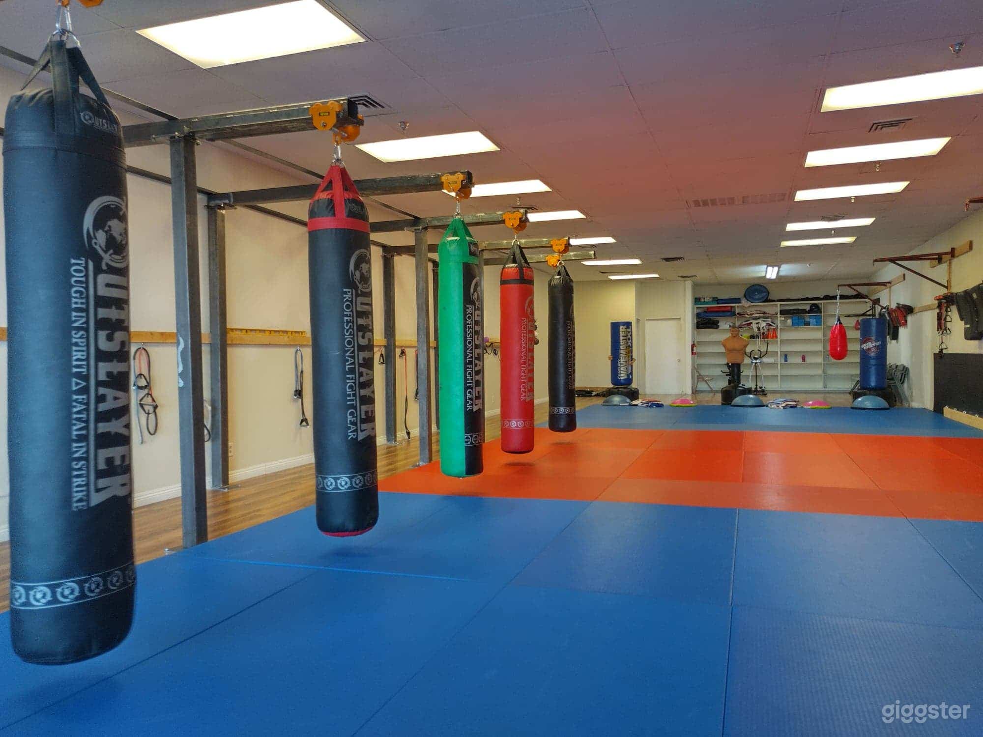 FULLY EQUIPED MARTIAL ARTS GYM FOR RENT Photo 1