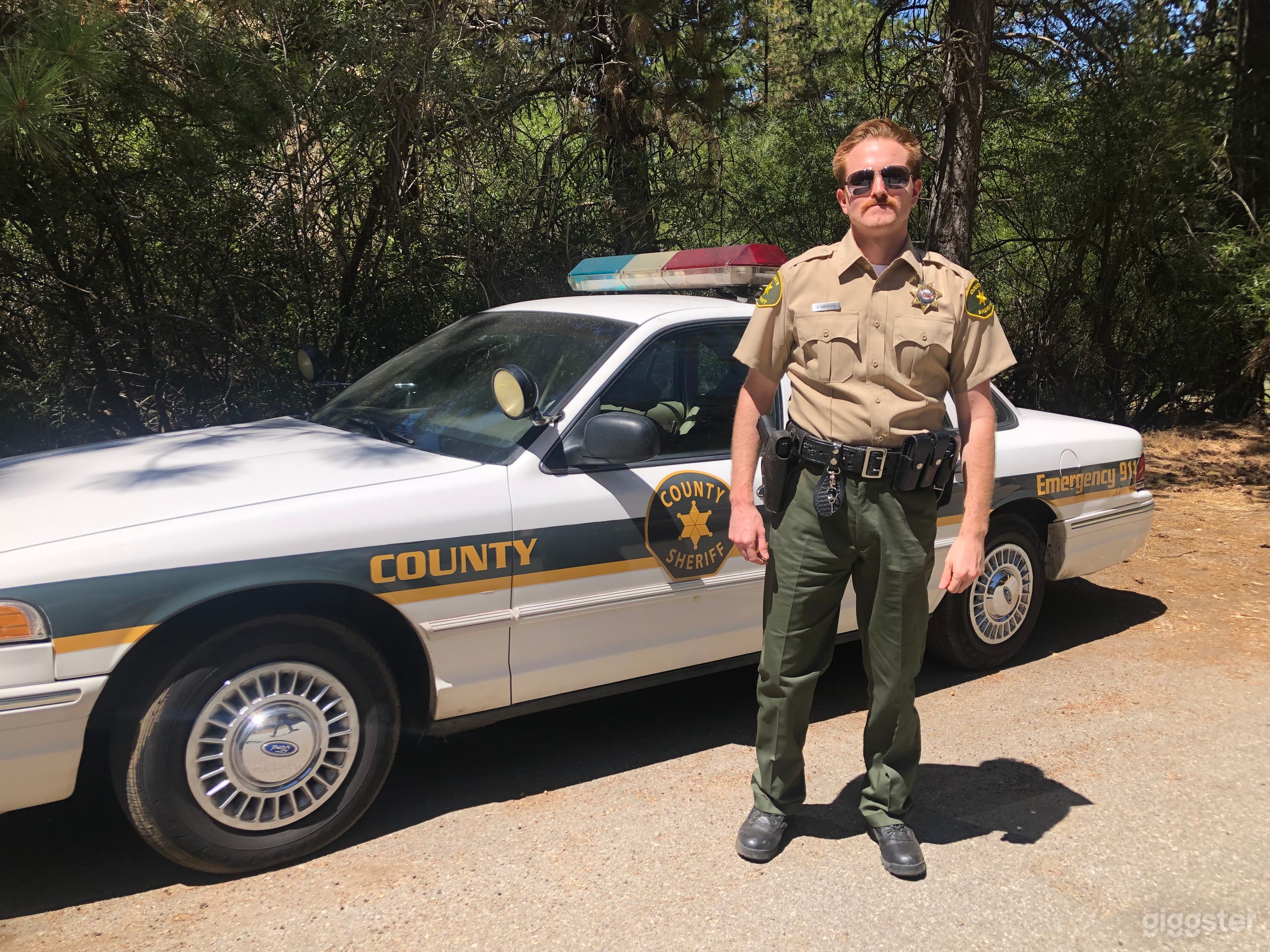 1997 Ford Crown Victoria Police Interceptor Sheriff Picture Car